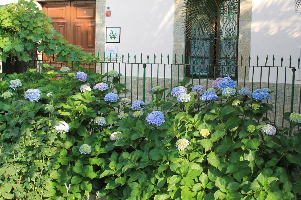 Casa Jardin De La Plata Leilighet Banos De Montemayor Eksteriør bilde